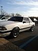 1989 mustang coupe clean!!!-155459_541899462505250_825274160_n.jpg